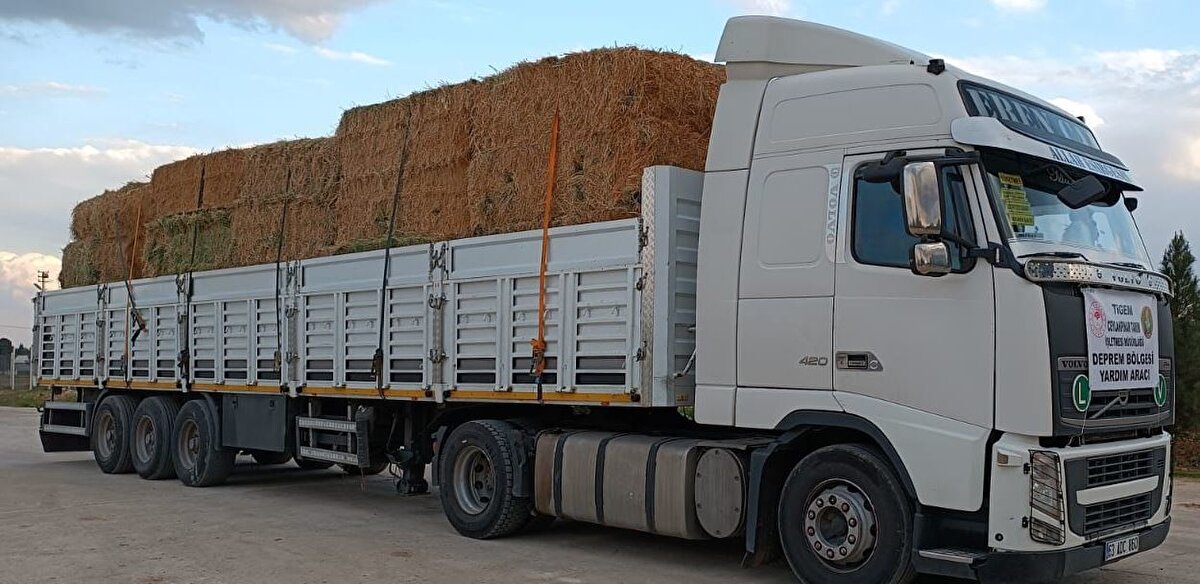 Ayrıca sahipsiz hayvanlara mama desteği sağlanıyor. Afet bölgesinde, deprem nedeniyle telef olan hayvanlar ve yıkılan ahırlar tespit ediliyor.