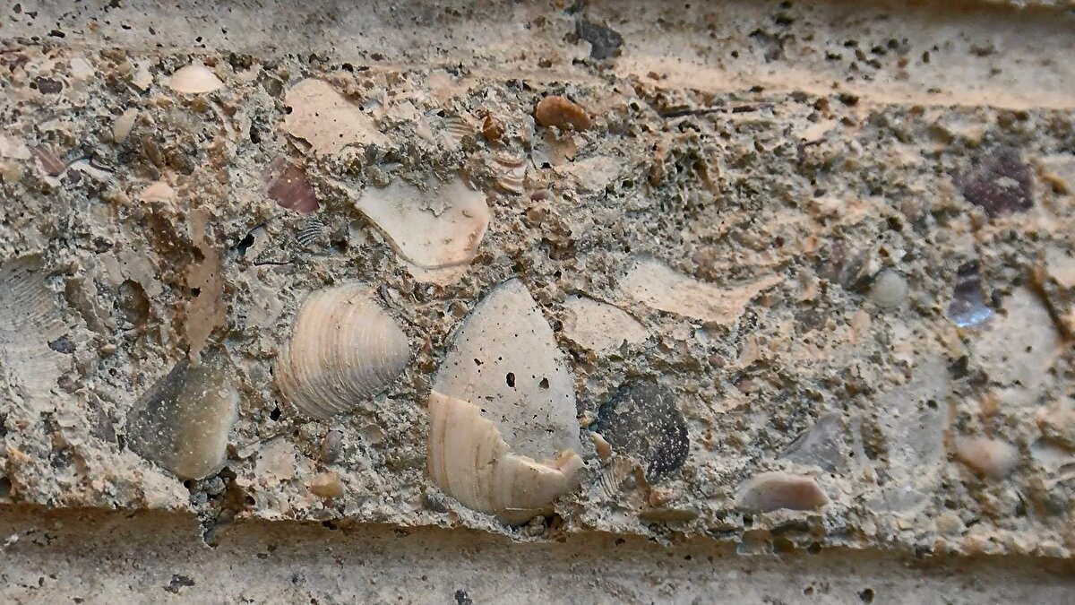 "Eski yapılarda ve mevcut binalara dair numunelerde c8-c10 beton tiplerinde, deniz kumu, deniz kabuğu gibi parçalara sıklıkla rastlıyoruz. Şu anda deprem bölgesi dediğimiz yerlerde kullanılması gereken beton sınıfı minimum c25'tir. Bu c8 ve c10 gibi sınıflandırmalar, betonun taşıma gücünü ifade ediyor"