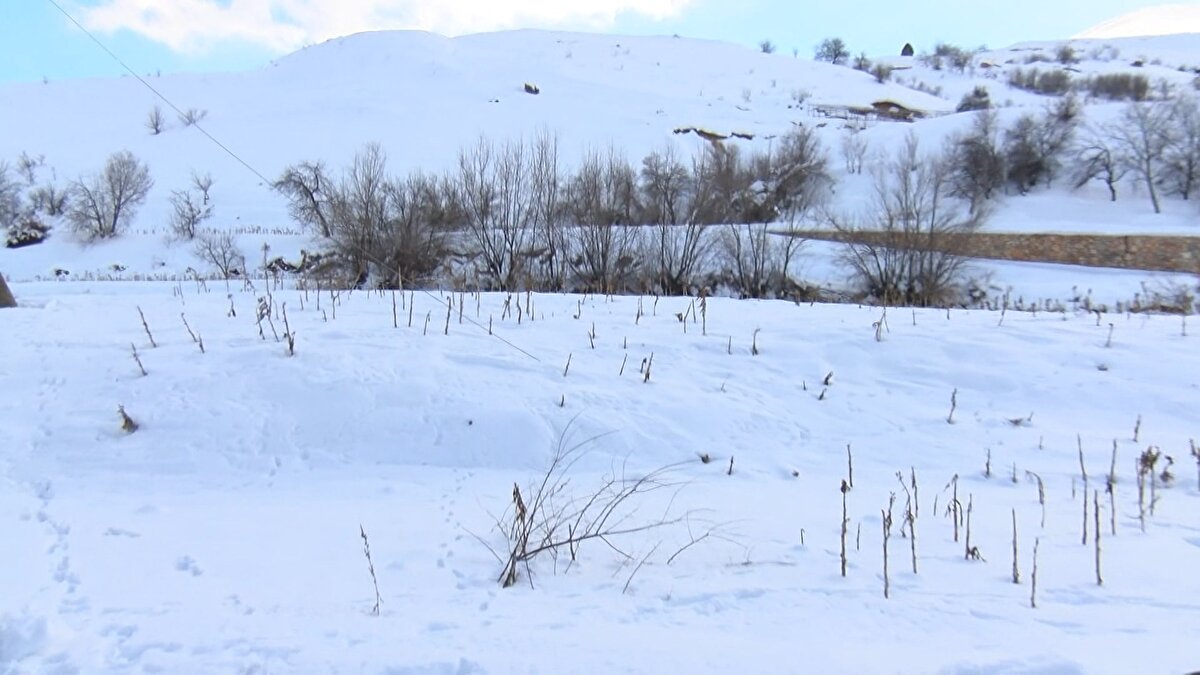 Tütünler de kar altında kaldı. Deprem, kar yağışı ve dağlardan düşen taşlar nedeniyle köylere ulaşımda bir süre sorun yaşanmıştı. Çatlayan yollar, bozulan köprülerin onarımlarının ardından, köye ulaşım sorunu da çözüldü.