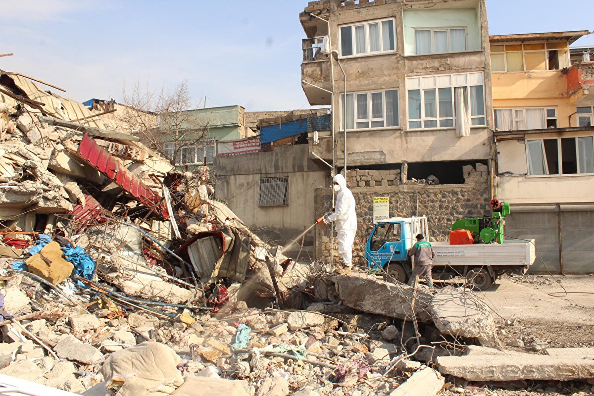 Kente yardım amacıyla gelen belediyeler ise kent merkezindeki yaşam alanları ile çöp kutularını ilaçladı.