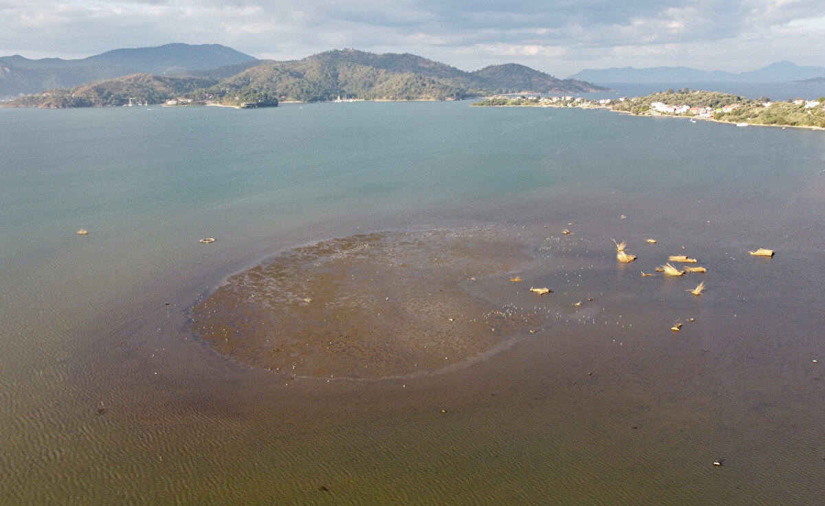 Deniz suyu çekilmesinin, gelgit hareketleri ve rüzgar basınç değişikliklerinden kaynaklandığı tahmin ediliyor.<br><br>