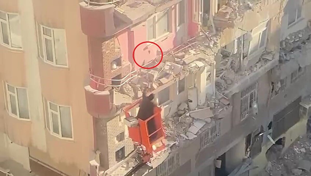 enişehir ilçesi Kooperatifler Mahallesi Kurtismailpaşa 2. Sokak'ta bulunan ve yıkılan Sözel Apartmanı'nın yanında bulunan Karaşin Apartmanı da depremde büyük hasar aldı ve bir bölümü yıkıldı. Ağır hasarlı olan binaya girişlere izin verilmezken, ismi öğrenilemeyen bir kadın 2'nci katta mahsur kalan kedisini kurtarmak için, mahallede bulunan vince çıktı.