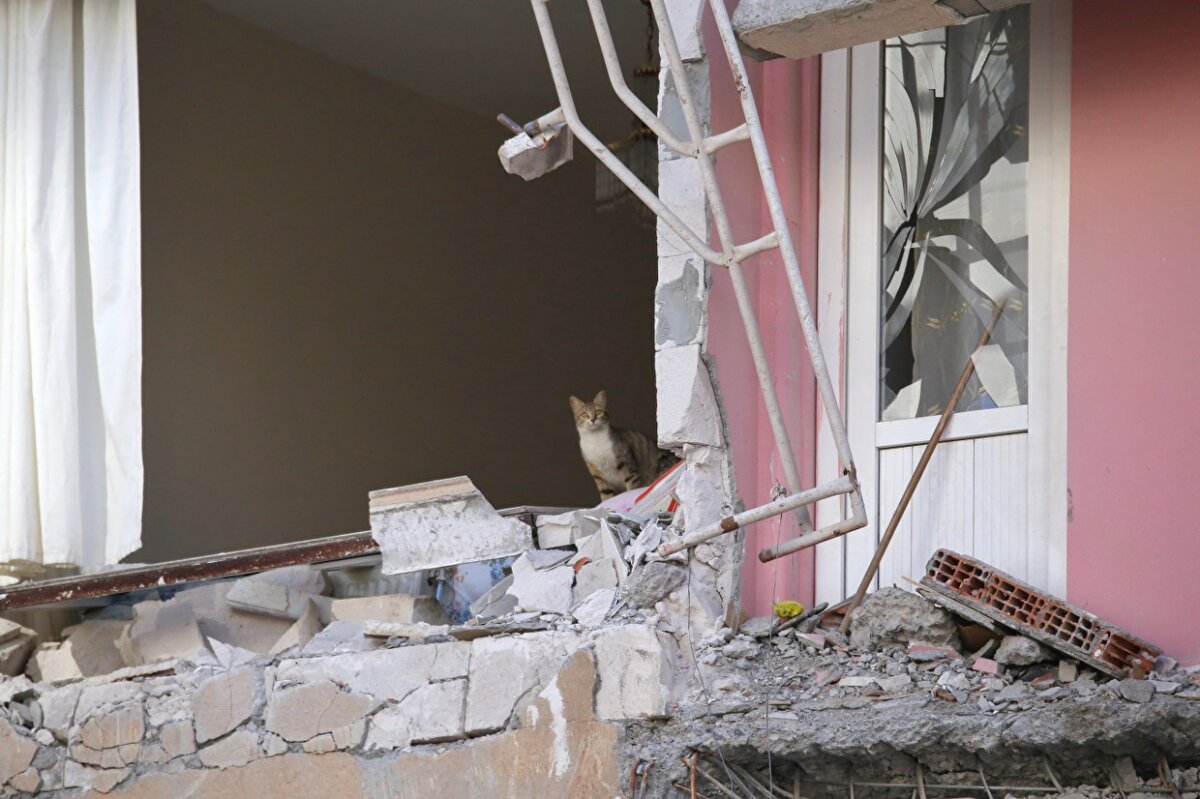 Sonuç alamayan kadın daha sonra aşağı indirildi. Daha sonra binadan kendiliğinden çıkan kedi, sahibinin yanına geldi.