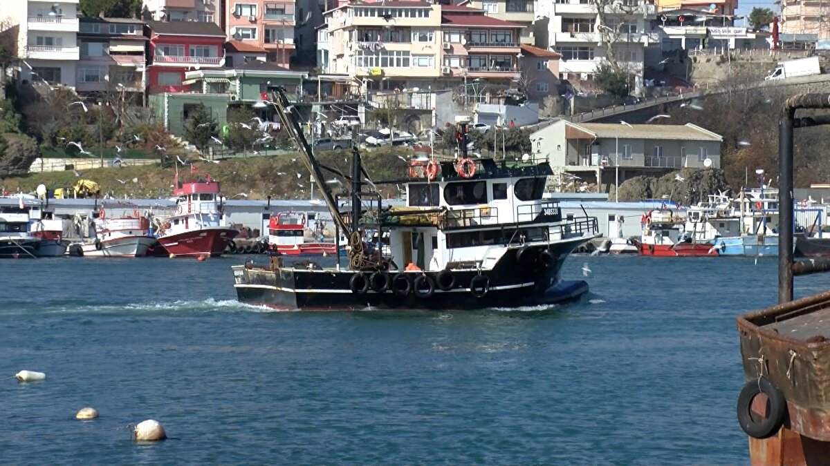 Balıkta av sezonu devam ederken, Tarım ve Orman Bakanlığı Marmara Denizi ile İstanbul ve Çanakkale Boğazları'nda ticari amaçlı her türlü hamsi avcılığınının bugün saat 15.00'ten itibaren durdurulduğunu açıkladı. Kısıtlama 15 Nisan 2023 tarihine kadar devam edecek. Balıkçılar ise hamsilerin küçük ve ince olması nedeniyle yasak getirildiğini söyledi.