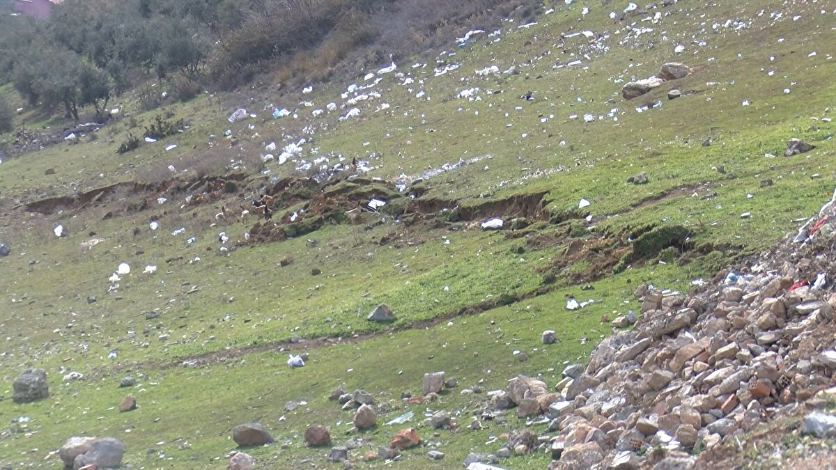 Gaziantep'in Nurdağı ilçesi Başpınar Mahallesi, altından geçen fay hattı nedeniyle depremde en ağır hasar gören yerleşim yerlerinden oldu. Köydeki 200 evden 10'u ayakta kalabildi. Köy sakinlerinden yakınlarını kaybedenler oldu.