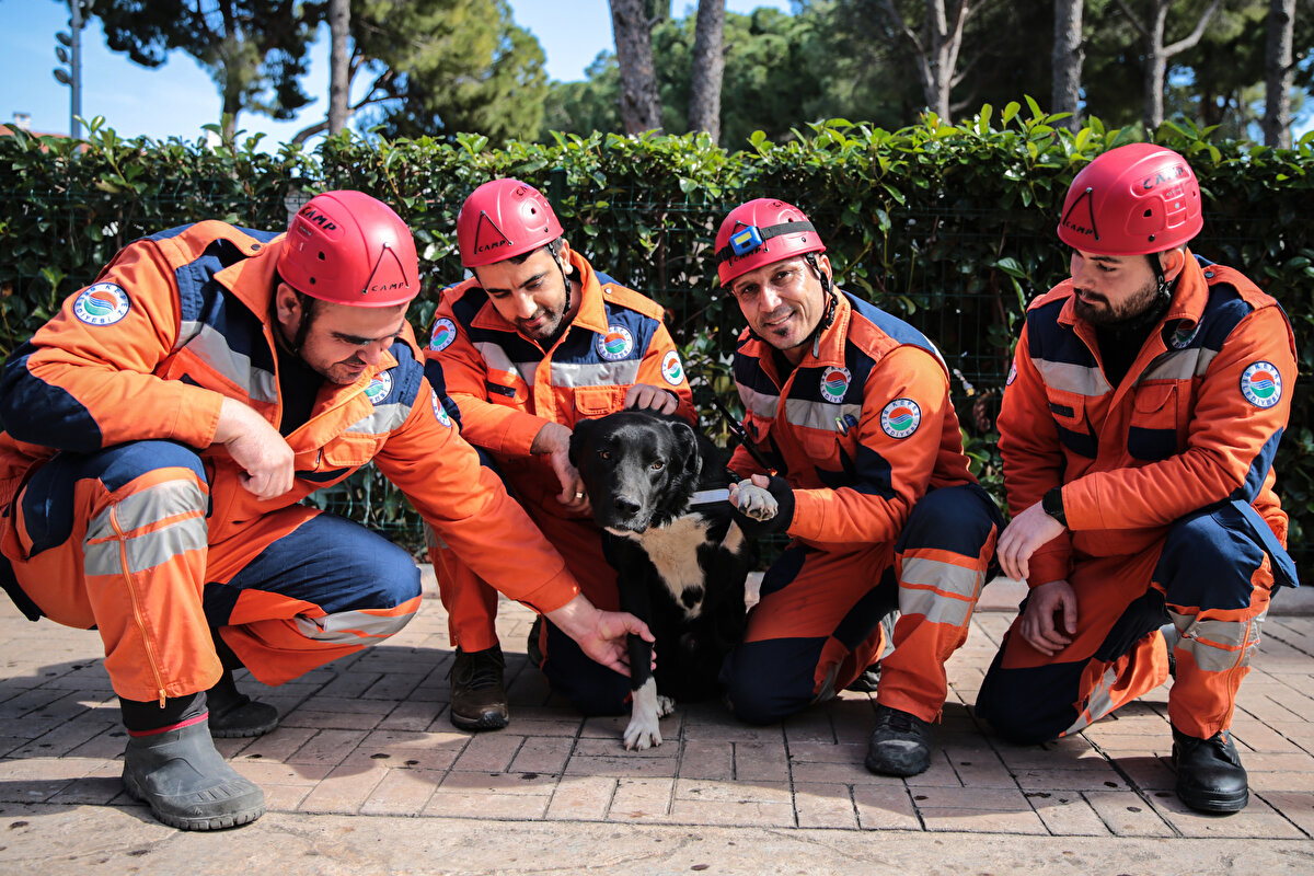 Katıtaş, köpeği çamaşır makinesi ile kolon arasında küçücük bir alanda bulduklarını, yıkayıp doyurduklarını ifade etti.<br>
