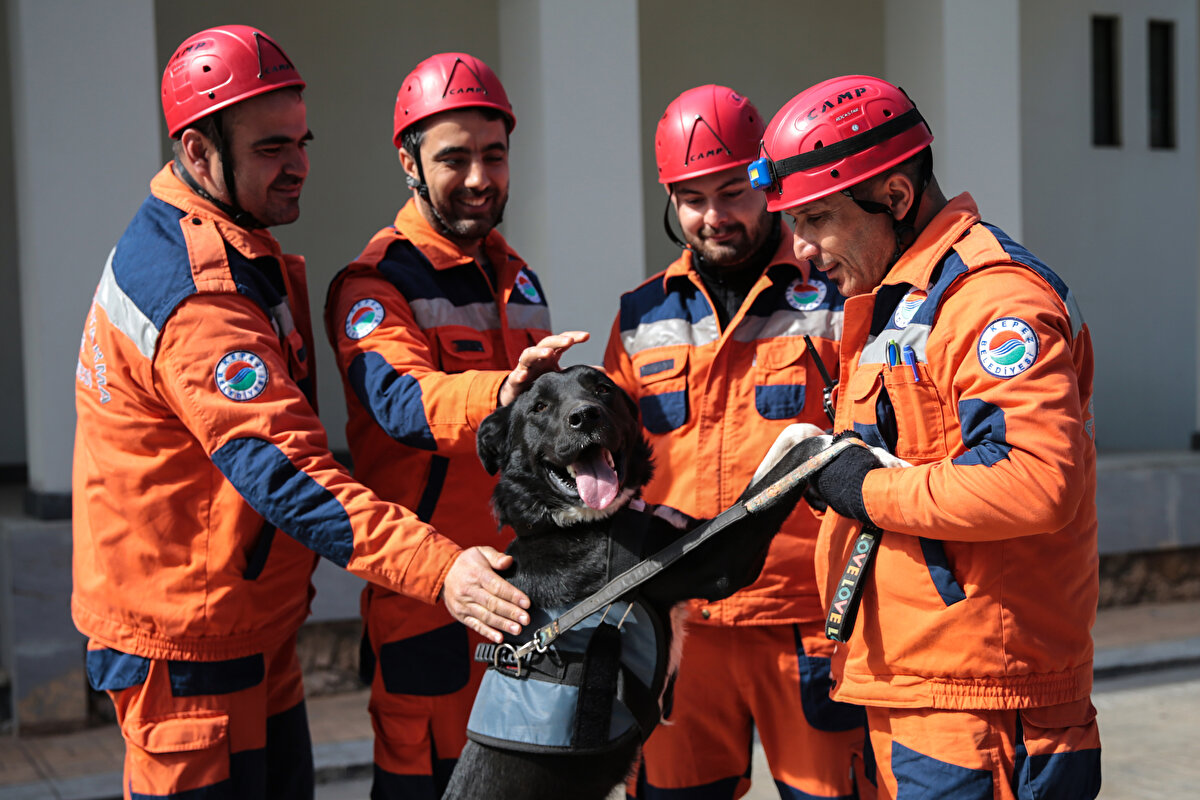 Köpeğin ekipten ayrılmak istemediğini ve araca binerek inmediğini belirten Katıtaş, şöyle devam etti: "Arkadaşlarla `Hayat`ı sahiplenmeye karar verdik. Antalya`dan gelen bir sivil bir toplum kuruluşunun üyeleriyle köpeği Antalya`ya gönderdik. Biz de önceki gün deprem bölgesinden döndük. `Hayat` ile ilk buluşmamız dramatik ve duygusal oldu. Artık `Hayat` da Kepez Belediyesi Arama Kurtarma Ekibi`nin bir parçası oldu. Artık beşinci üyemiz. Sağlık işlemleri tamamlandıktan sonra `Hayat`ın eğitimlerine başladık. Çok istekli ve komut alabilen bir köpek. Allah ülkemize başka afetler vermesin ama böyle bir durumda `Hayat` da başka hayatları yaşatmak için mücadele edecek."<br>