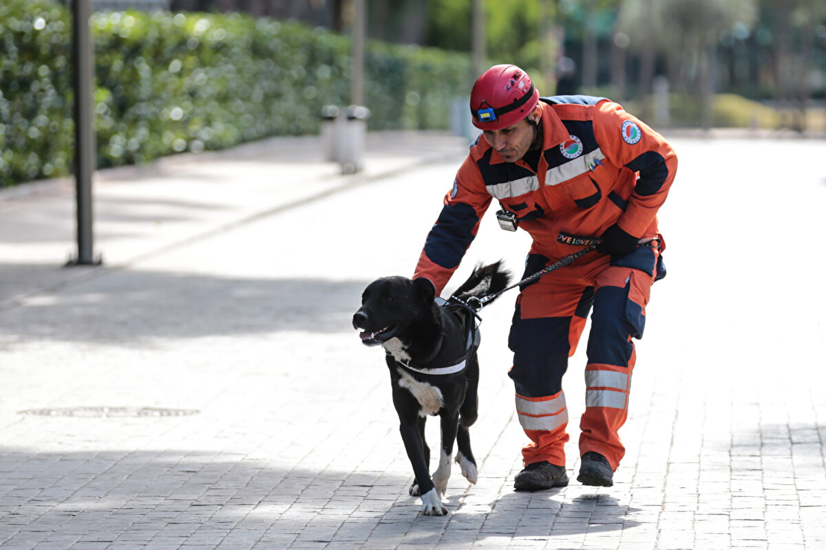 Ekip üyeleri, depremde sahiplerini kaybeden köpekten kurdukları duygusal bağ dolayısıyla ayrılamadı.<br>