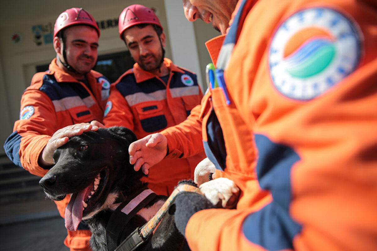 Arama ve kurtarma çalışmalarında köpeklerin etkin rol oynadığına dikkati çeken Katıtaş, "Hayat"ın da ekip adına önemli kazanım olduğunu dile getirdi.<br>