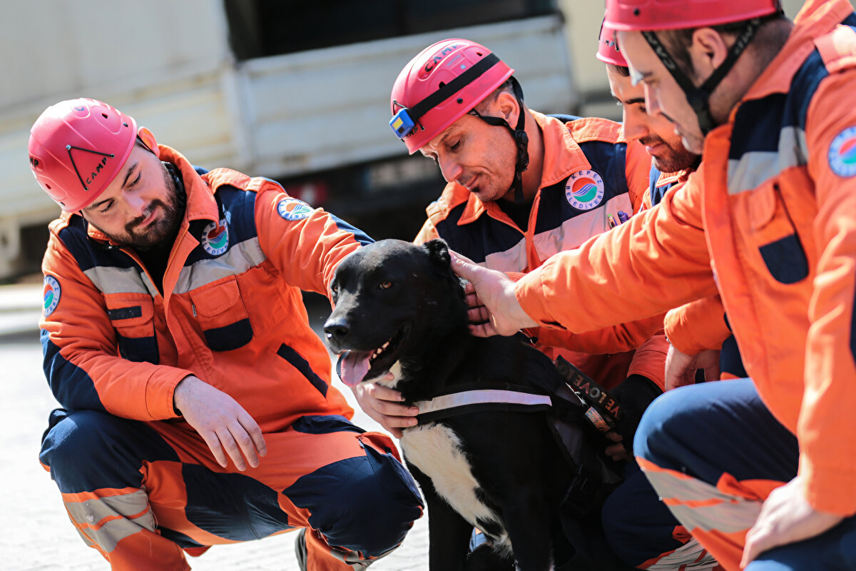 Hatay`da bir enkazda canlı ihbarı alınca bölgeye gittiklerini anlatan Katıtaş, "Enkazın ikinci katında bir canlı olduğuna dair bilgiye ulaştık ve binaya girmeye karar verdik. 4 saatlik kazı, bize `Hayat`ı kazandırdı. Gözünde yaş vardı, çünkü sahipleri enkazda hayatını kaybetmişti." dedi.<br>
