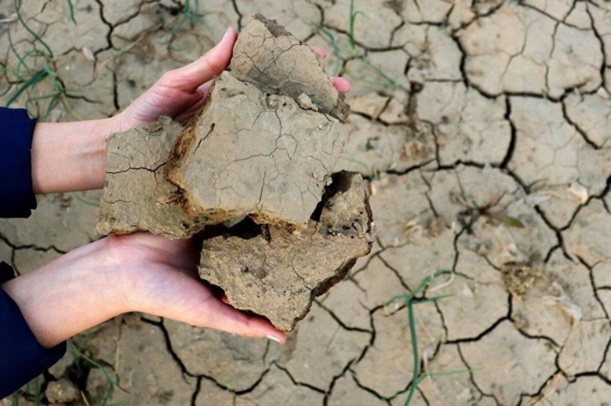 Sadece Ege’nin büyük bölümü ve Akdeniz’in bir kısmında kuraklık riski yok görünüyor. Van ve Samsun da kuraklık riskinin olmadığı yerler arasında. Ülkenin geri kalanının hemen hemen tamamı ise yüksek riskli.<br><br>Kuraklık haritaları ülkenin büyük bir kısmında su tasarrufuna acil olarak başlanması gerektiğini ortaya koydu.