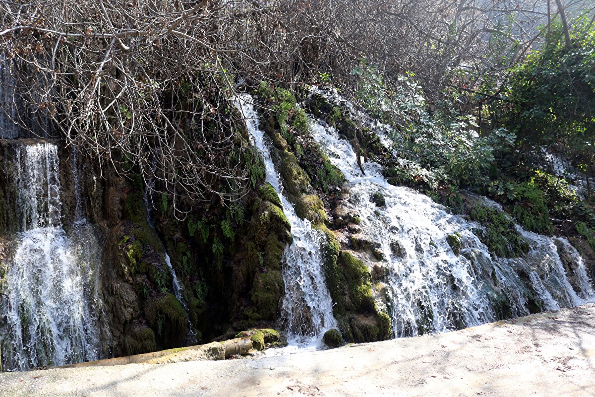 Şelale suyunun Antakya ve Harbiye Mahallesi'nden Asi Nehri'ne giden su olduğunu kaydeden İşbilir, "Buradaki arta kalan su. Bu depremlerin ardından yönü değişmiş olabilir diye düşünüyoruz. Çünkü suda biraz azalma var. Depremden dolayı da biraz sarımsı akmaya başladı. Maraş merkezli ilk depremde ise suyu tamamen çamur şeklinde akıyordu ve gözle görülür şeklindeydi. Depremin ardından biraz düzelme var ama yine de sarımsı şeklinde akıyor. Bir deprem daha yaşamazsak buradaki su düzelir diye düşünüyoruz" ifadelerini kullandı.<br><br>