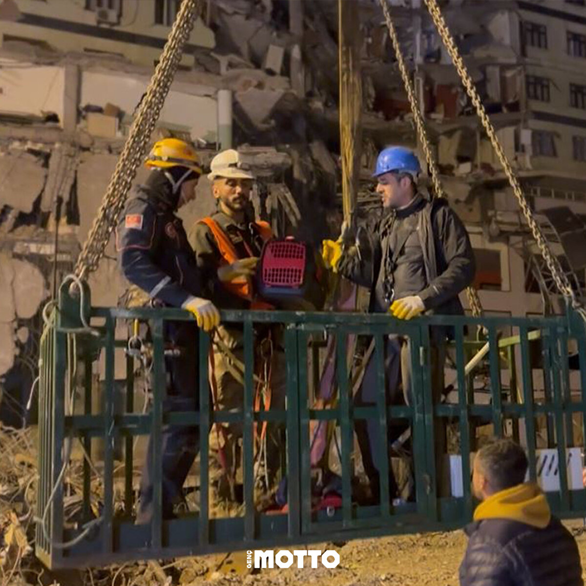 Tedavileri tamamlanan hayvanlar, sahiplerine teslim ediliyor