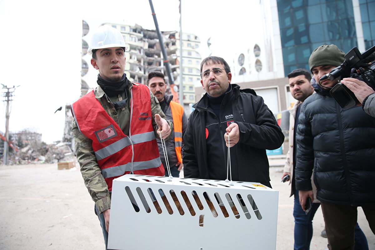 Çalışmalarda şu ana kadar kurtarılan 7 kedinin ilk muayeneleri Sağlık İşleri Daire Başkanlığı ekiplerince yapıldı.<br>