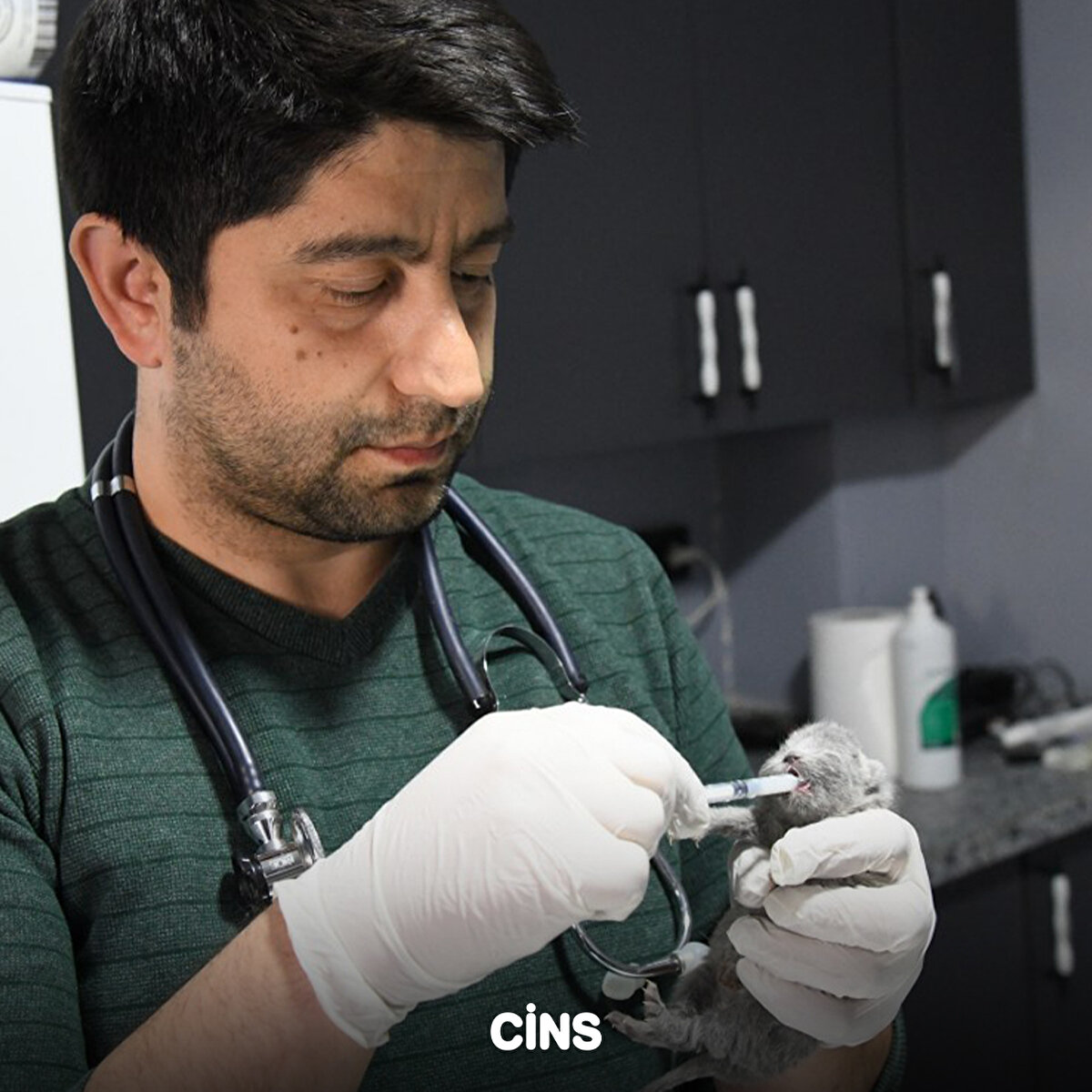 Bu çalışma sonuçsuz kalınca enkaz üzerinde aramaya devam edildi. Geçici Hayvan Bakım Rehabilitasyon Merkezi ekipleri, 1 yavru kediyi bulup çıkardı.