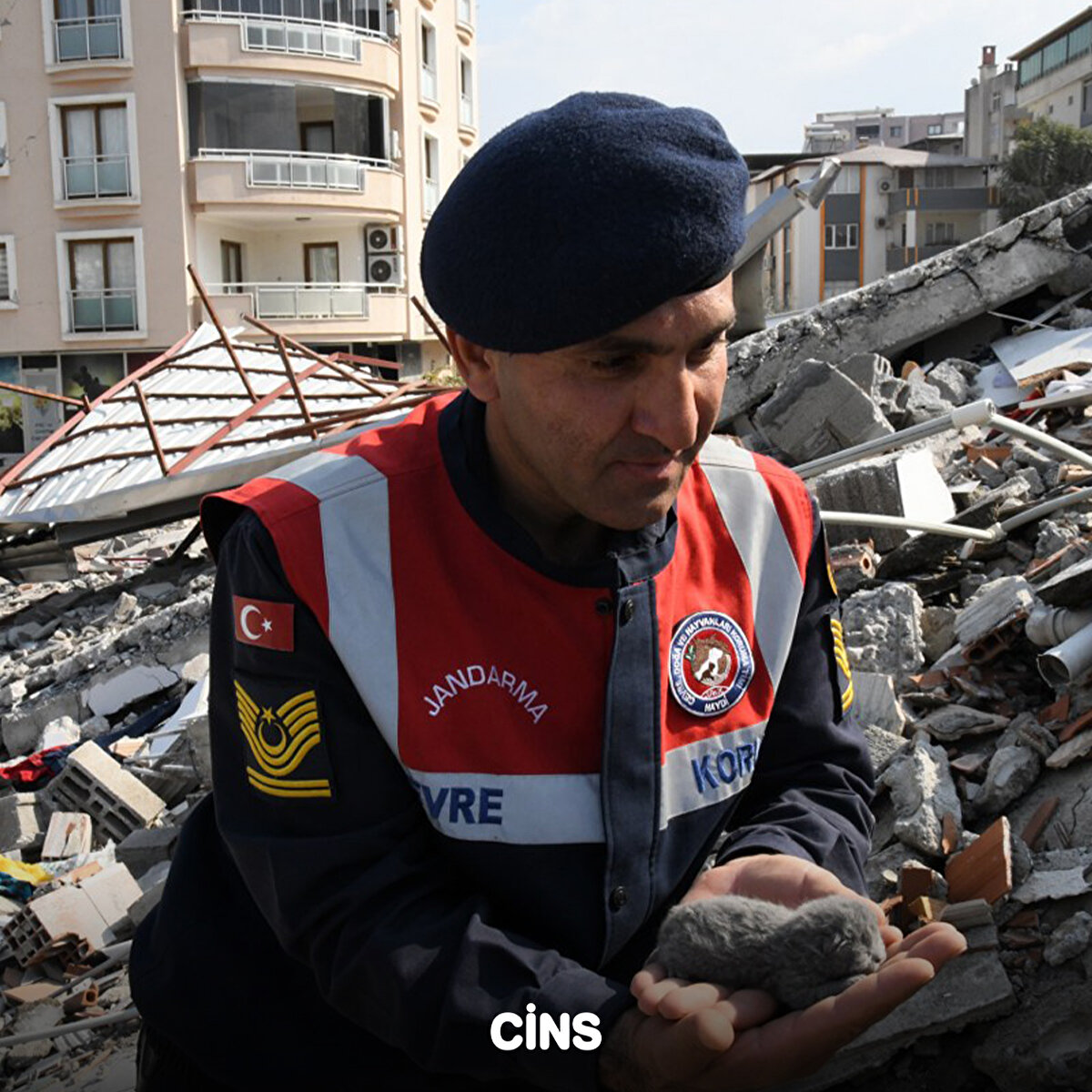  Gün içindeki çalışmalarda yavru kedinin 4 kardeşi de beton yığınlarının arasından çıkarılarak kurtarıldı.