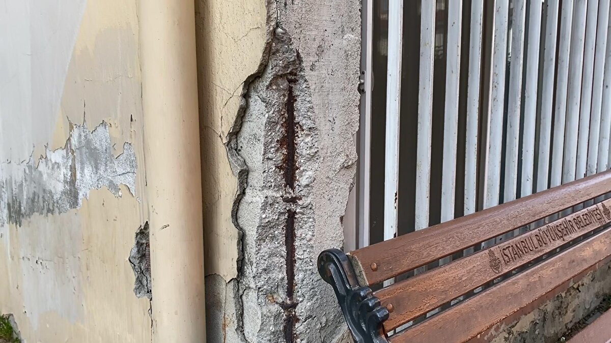 İstanbul Üniversitesi Tıp Fakültesi ve İstanbul Üniversitesi Cerrahpaşa Tıp Fakültesi binalarında öğrenciler tarafından çekilen görüntüler endişe yarattı. İki fakülte içerisindeki çeşitli binalarda hem dış cephelerde hem de binaların içinde bulunan kolon, kiriş ve duvarlarda çatlaklar ve dökülmeler görüldü.