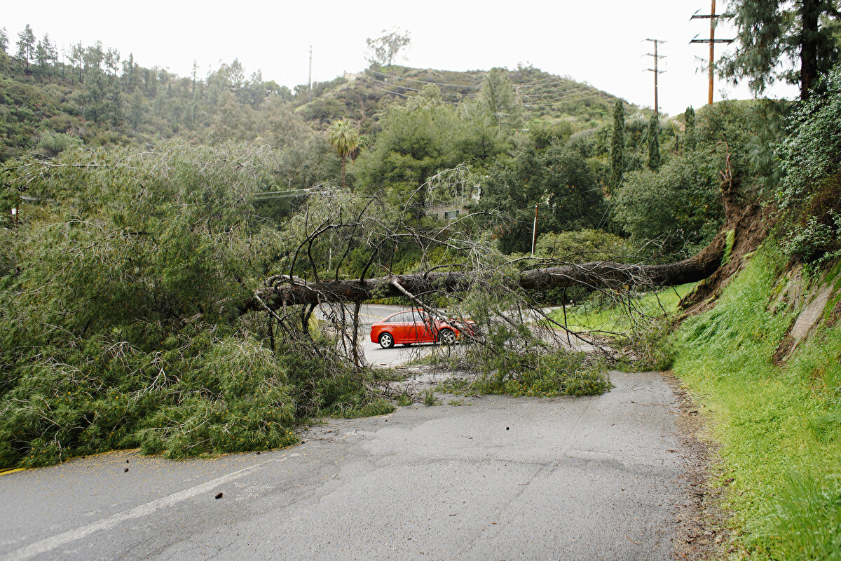 Meteoroloji uzmanları, bölgedeki fırtınanın bugünden itibaren Arizona, Texas, Oklahoma ve Kansas’a doğru ilerleyeceğini, alçak kesimlere yağmur, yüksek kesimlere de kar yağışının etkili olacağını belirterek, bazı alanlarda ise hortumların oluşabileceği uyarısında bulundu.