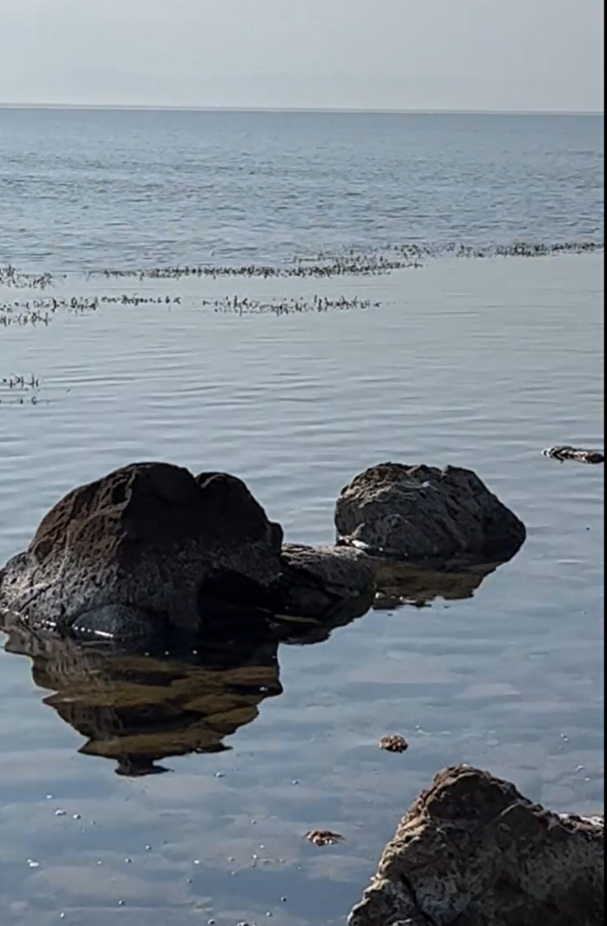 Mustafa Altunhan, “Taşlar yosunlarla beraber yukarıya çıkmış. Deniz çayırları suyun üzerine çıkmış. İlk defa böyle bir şey görüyorum. Müthiş bir su çekilmesi olmuş. Neden olduğunu bilmiyorum. Ancak bilim insanları açıklayabilir. Allah sonumuzu hayır etsin. Acaba nedendir? 10 yıldan beri ilk defa burada, Saros Körfezi'nde suyun bu kadar çekildiğini gördüm" diye konuştu.