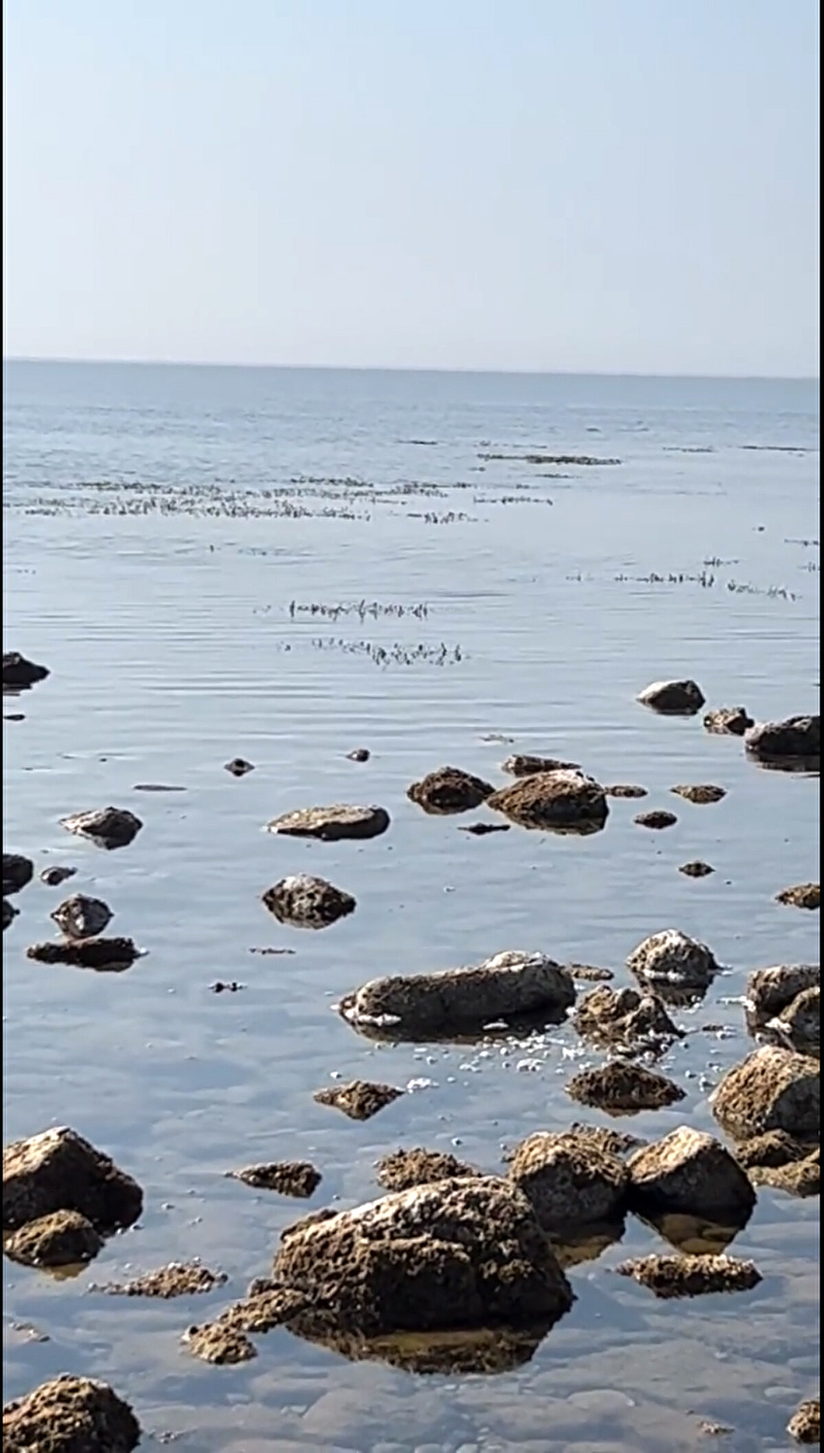 Denizde ciddi anlamda su çekilmesi olduğunu belirten Altunhan, taşlar ve yosunların ortaya çıktığını söyledi.