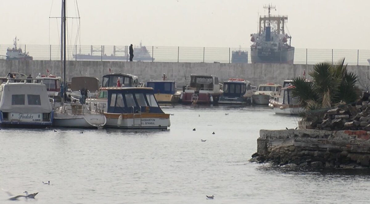 "SAMANDAĞ ÇEVLİK'TE DENİZ TABANINDA HAREKETLENME OLDUĞU ORTAYA ÇIKTI"<br>Prof. Dr. Ahmet Cevdet Yalçıner, Samandağ-Çevlik'te deniz tabanında bir hareketlenme olduğu ortaya çıktığını belirterek, "Cihazların bize verdiği bilgiler, oluşma mekanizmasını anlamaya yardımcı olur. Öncelikle kayıtları daha sonra yerine gidip balıkçı barınakları, kıyı tesislerinde o sırada teknede, denizde, kıyıda bulunan  balıkçıların yaşadıklarını öğrenerek oluşan dalganın davranışını anlamaya çalıştık. Örneğin, Samandağ Çevlik'te bizim tahmin ettiğimiz yerde biraz kuzeyinde denizde bir dalganın oluştuğunun ihtimali üzerinde duruyorduk. Modelleme çalışması ile bunun yerini bulmak üzere tahminde bulunmuştuk. Sonra gidip yerinde yaptığımız incelemelerde balıkçılardan aldığımız bilgilerle deniz tabanında bir hareketlenme olduğu ortaya çıktı. Sonraki 6.4 olan depremde aslında 10 santimetre mertebesinde küçük bir dalga yine oluştu. Kandilli Rasathanesi 8 dakika sonra zamanında uyarıyı verdi. Bu en erken verilebilecek bir süreydi. Oradaki oluşan dalganın üzerine de çalışmalar sürüyor" diye konuştu. <br><br><br>