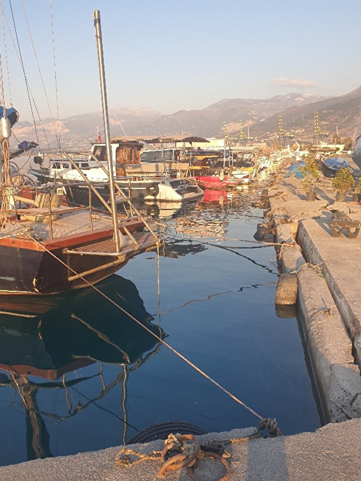 Denizdeki oynamalar ve dalga oluşumları üzerine çalışmaların devam ettiğini belirten  Prof. Dr. Ahmet Cevdet Yalçıner şöyle devam etti:  "Bunlar zor çalışmalar, şu an belli bir bulgulara ulaşmaya çalışıyoruz. Daha sonraki yıllarda fayın hangi yöne gitmesi durumunda denizdeki oynamalar ve dalga oluşumları üzerine bilgiler üretmeye çalışıyoruz. Ölçülen su düzeyi değişimlerinin başladığı noktayı geriye çözerek buluyoruz. Onların buluştuğu yerde Samandağ'ın kuzeyinde bölgede olduğu işaret ediyor. Bunun daha fazla ayrıntı ile ortaya çıkarılması deniz araştırmalarını gerektiriyor. Denizde gel git dalgası olur. Bunu ölçen cihazlar vardır. O cihazlar birçok kıyıda var. Bu cihazlar su düzeyinin değişikliğini bize bilgi olarak veriyor. Tsunaminin özelliklerini veren sinyaller sanki kalp grafiğinden kalbin yapısını anlamak gibi o cihazların gösterdiği su düzeyi değişikliğinden onun nerede oluştuğunu anlamak gibi benzeştirebiliriz" <br>