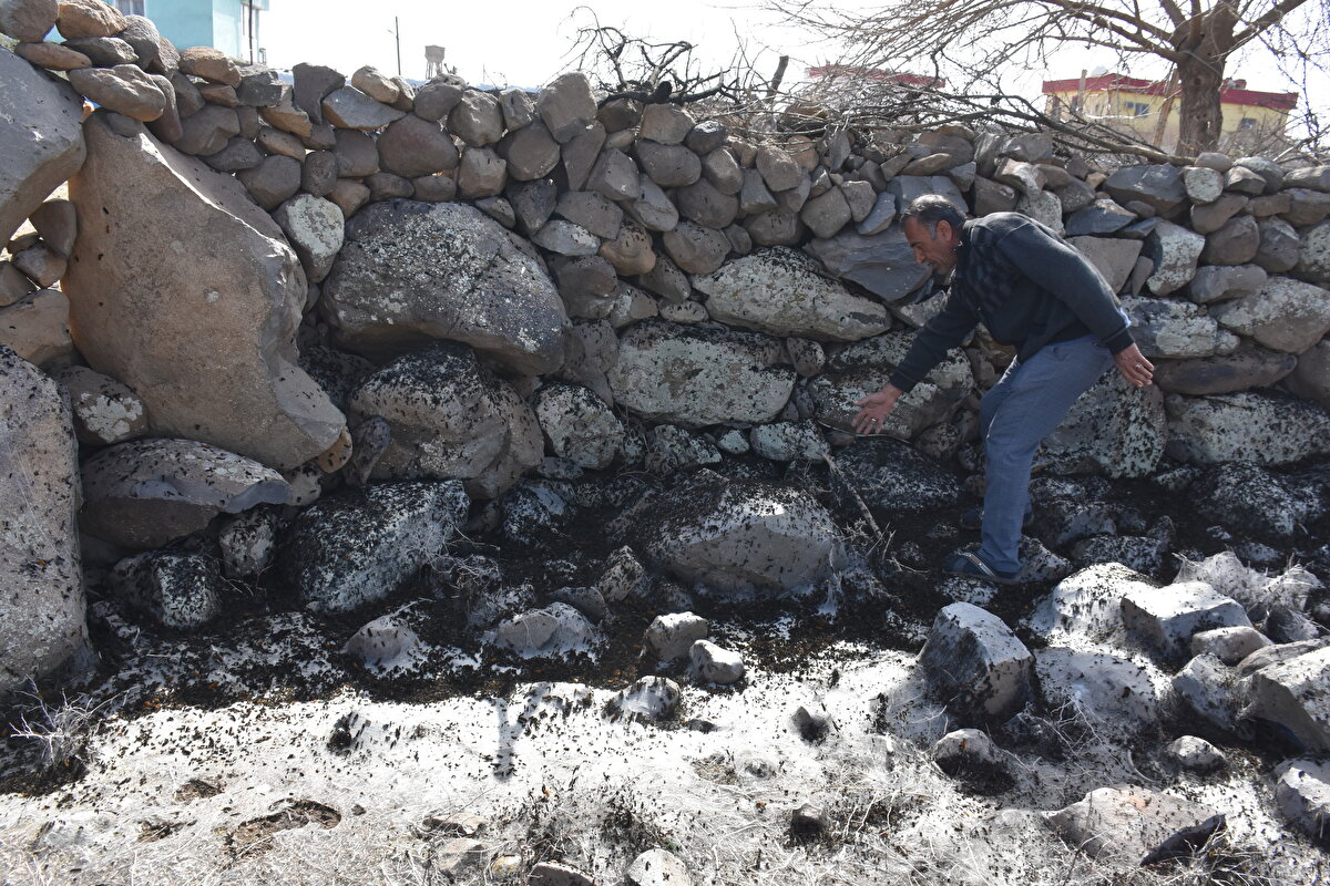 Acar, havaların erken ısındığına işaret ederek, şunları kaydetti:<br><br>"Bunlar az miktarda ve zararsızken, toplu olunca ve yiyecek bulmakta zorlandıklarında ekinlere yöneliyorlar. Mera alanlarında geniş yapraklı bitkiler olmayınca ekili buğday ve hububat alanlarına yönelmişler. Bununla ilgili sahadaki arkadaşlarımızla Diyarbakır Zirai Mücadele Araştırma Enstitü Müdürlüğü ekipleri çalışıyorlar. Vatandaşlara ve çiftçilere gerekli bilgilendirmeleri yapıyorlar. Alınacak önlemler ve kullanılacak ilaç tavsiyeleri iletiliyor. Çiftçilerin tedirgin olabilecekleri bir durum yok. Kısa zamanda lokal ilaçlamalarla konu çözüme kavuşacaktır"