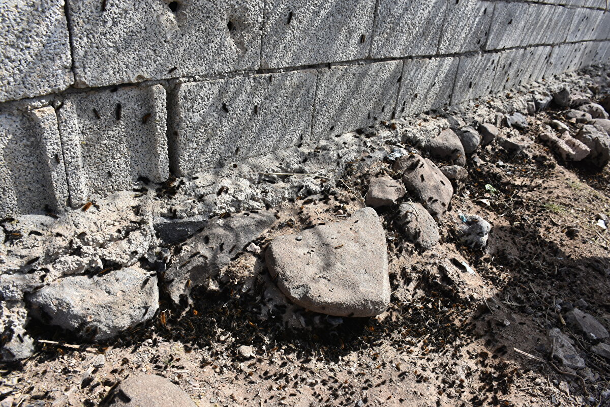 Köylerde yaşayan vatandaşlar Tarım ve Orman İlçe müdürlüklerinin tavsiye ettiği ilaçları da kullanıyor.<br>