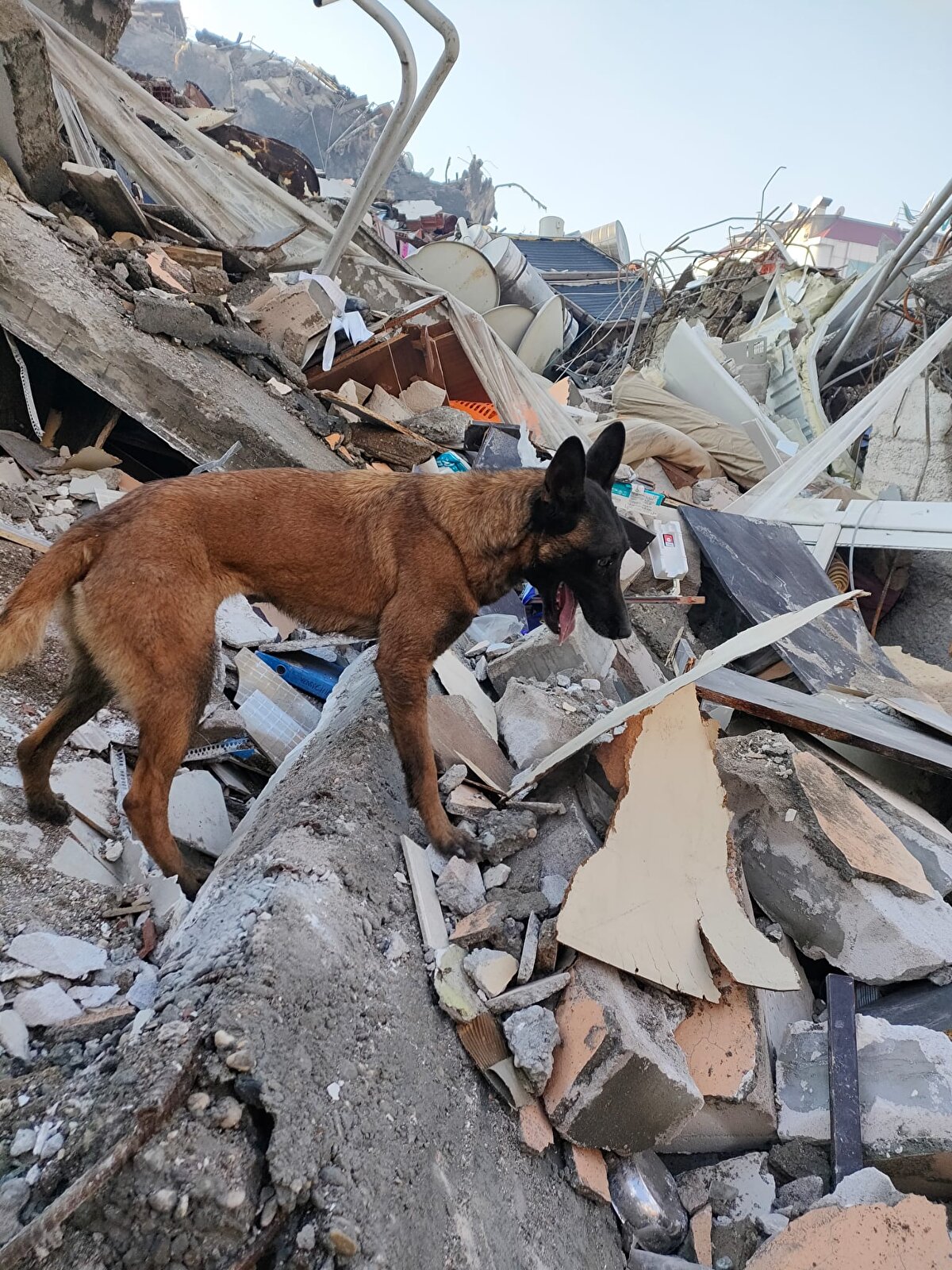 AA muhabirine, enkaz altında yaşadıklarını anlatan Çabuk, zemin kattaki dairesinde deprem anında uyanınca önce apartmana hırsız girdiği düşündüğünü söyledi. Binadaki merdivenlerin yıkıldığını görünce deprem olduğunu anladığını ifade eden Çabuk, "Seslendim, beni kurtaran yok mu dedim. İlk gün biri 'seni kurtaracağız' dedi ve gitti. İkinci gün biraz uyudum, saate baktım, sabah olmuştu. Yine seslendim beni kurtaran yok mu diye, baktım yine kimse yok." diye konuştu.<br><br><br>Mahsur kaldığı enkazın altından üçüncü günün sabahında saat 07.05'te yeniden yardım istediğini anlatan Çabuk, enkazın üstünden ilk olarak bir köpek sesi duyduğunu söyledi.<br>