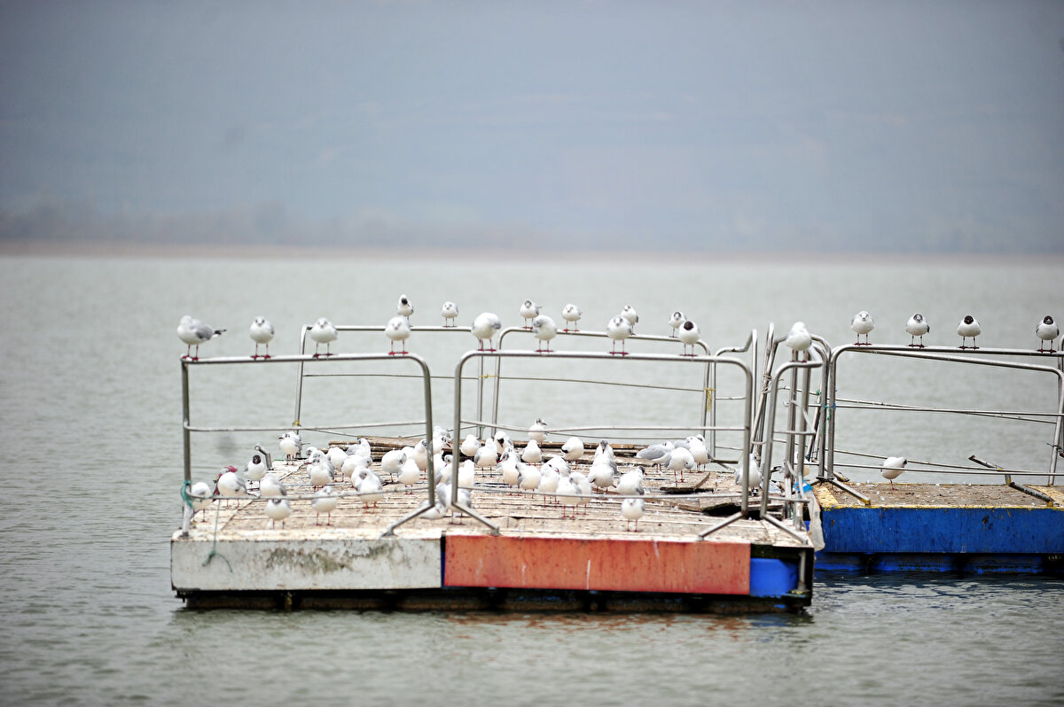 Kayıkların geçtiği göl üzerindeki köprünün altı ise artık araç parkı alanı olarak kullanılıyor.<br>