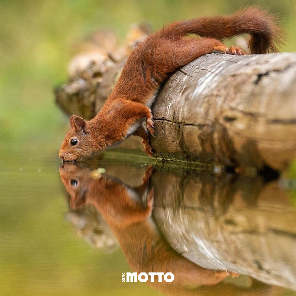 Güne su içerek başlamak sağlıklıdır