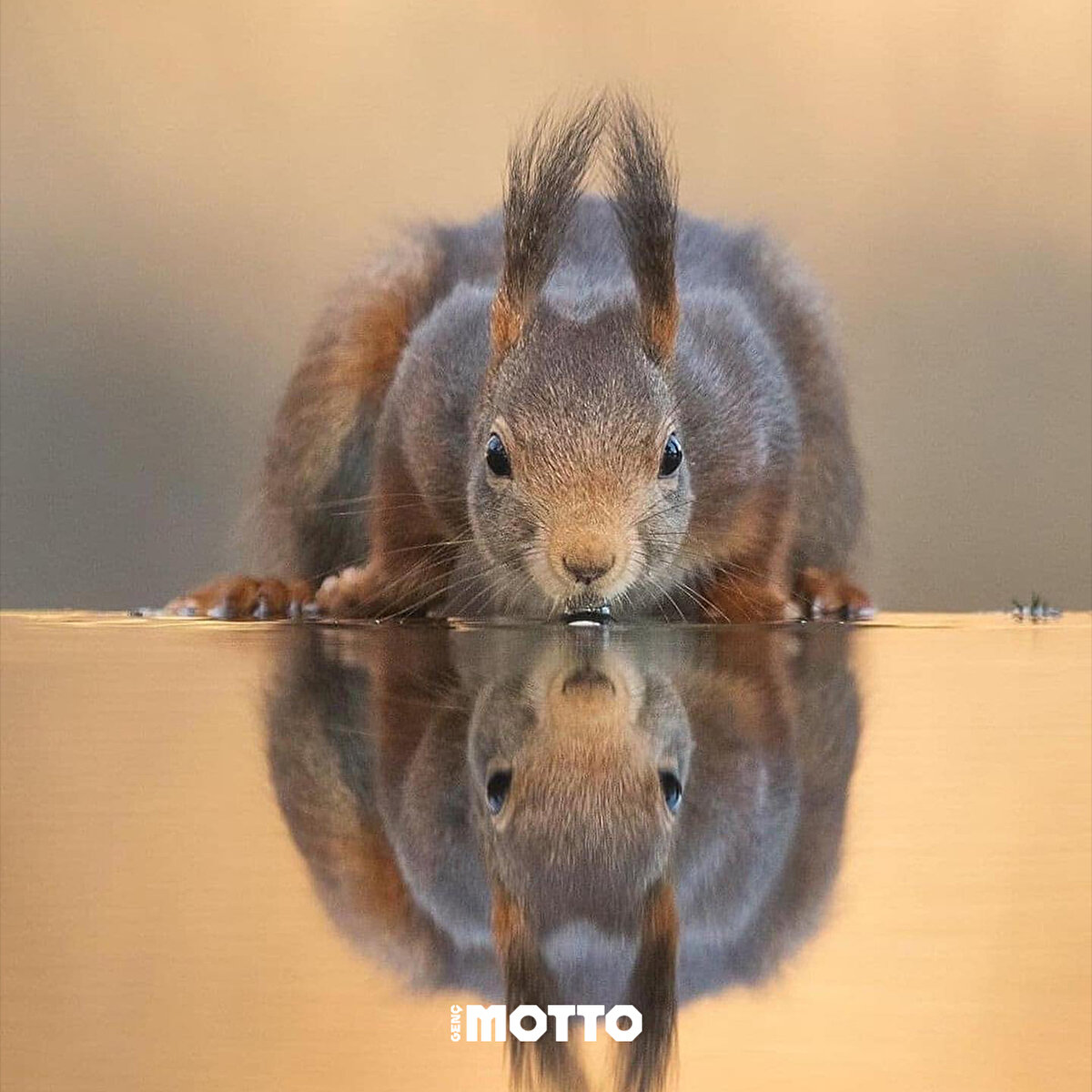Nasıl görünüyoruz bir bakalım 