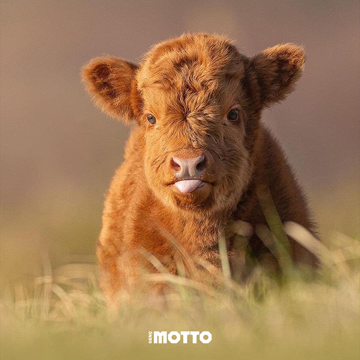 Yüzümüzde hep gülümse olsun 