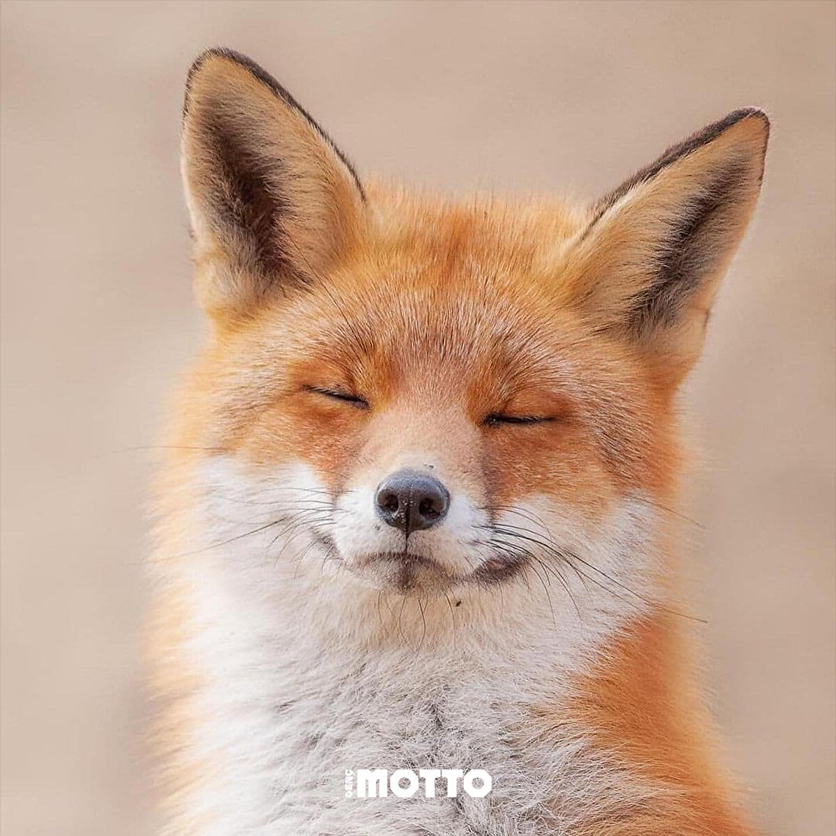 Daha tam ayılamadım 