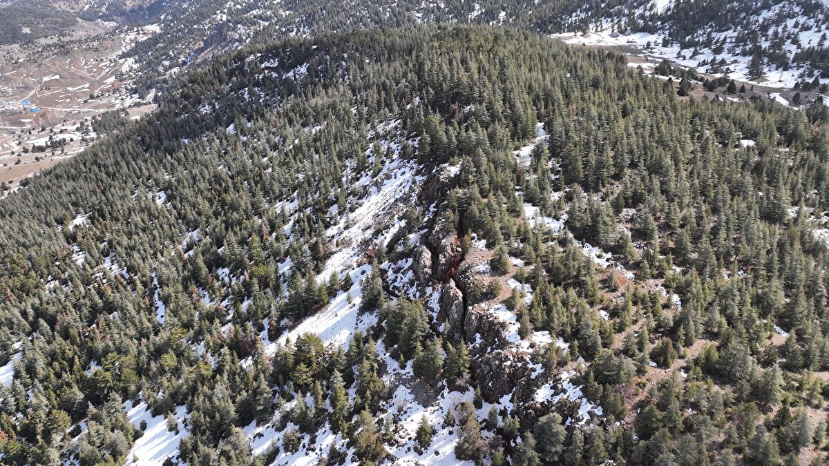 Bu sismik segment Çardak ve Doğanşehir adı verilen iki geometrik fayı içeriyordu.