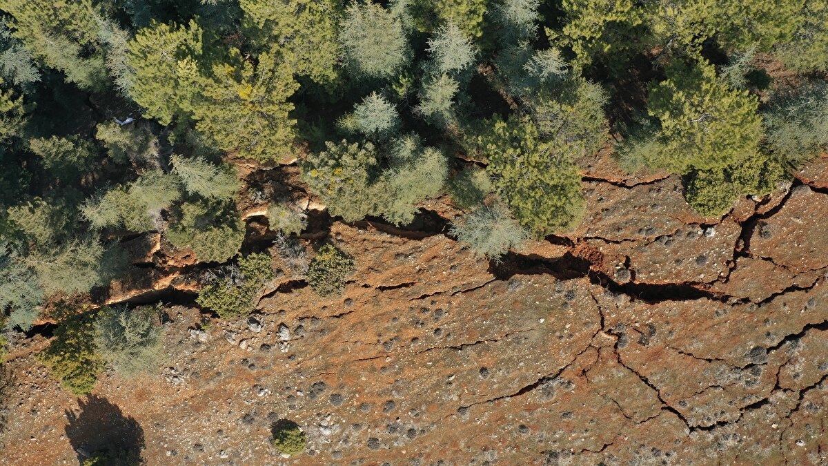 Şu ana kadar elde edilen veriler, ikinci ana şokun ilk büyük depremin tetiklemesiyle oluştuğunu ve bunu yaparken Sürgü fayını enerjiyi transfer eden bir fay olarak kullandığını gösteriyor.