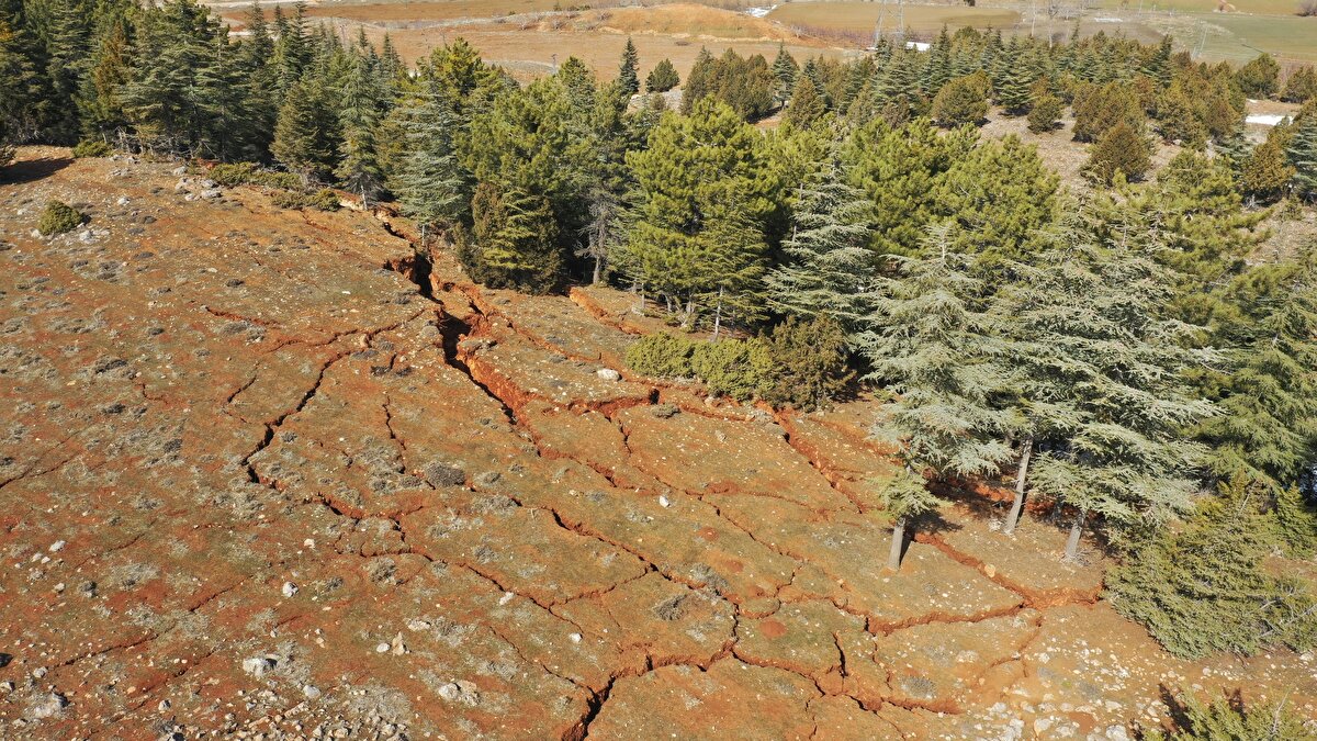 Ağaçlar yıkılmıştı. Yarıklar aşağı yukarı 6-7 metre derinliğinde vardı. Ürpertici görüntülerle karşılaştık dehşet vericiydi" dedi.<br>