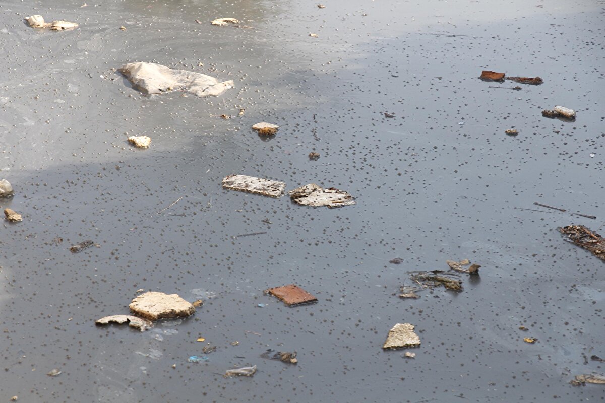 TEMİZLİK VE KONTROL VURGUSU<br>Kirliliğin önüne geçmek için temizliğe dikkat edilmesi ve fabrikaların kontrolün yapılması gerektiğini ifade eden Prof. Dr. Yaşar, "Geçen yıl 80 bin kamyon pislik alındığı söylendi. Ancak bu övünülecek bir şey değil. 80 bin kamyon neden oraya geliyor? Oraya gelmeden engelleyeceksiniz. 1970'li yıllarda Yeşildere'de yüzülür, balık avlanırdı. Ama şu anda her yer çok kirli. Yerel yönetimler bütün fabrikaları kontrol etmeli, yaklaşık 50 çevre mühendisi istihdam edip, bütün dereleri kontrol altında tutmalı. Mart ayının ikinci yarısında ve nisan ayında kokuyu azaltacak iyi bir yağış bekliyorum. Dereleri temizleme işini mutlaka önemsememiz lazım" dedi.