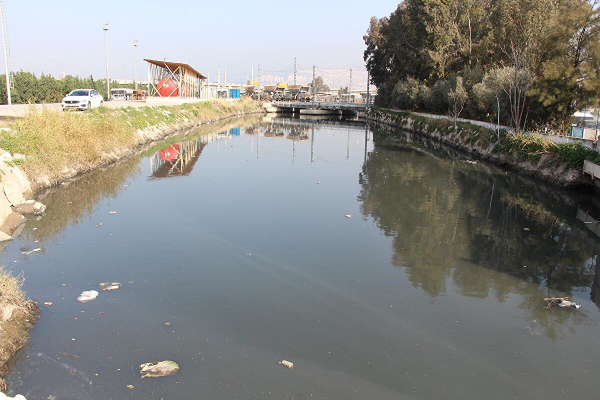 'FABRİKA SULARI ARITILIRSA BİR YIL İÇERİSİNDE KÖRFEZDE YÜZERSİNİZ'<br>İzmir Körfezi'nin dünyanın en iyi körfezlerinden biri olduğunu söyleyen Prof. Dr. Yaşar, "Ekonomik potansiyel olarak en muhteşem körfezlerinden biri. Çünkü her şey var. İç körfezde önemli balıklarımız var. Akdeniz'in en verimli körfezi. Körfezde, kuş cenneti, dalyanlarımız var. Bu kadar güzel cennete sahibiz ama hala kirletmeye, foseptik olarak kullanmaya devam ediyoruz. Derelerin altı betonlanıp, kireçlenerek pansuman yapmakla uğraşılıyor. Oysa fabrikalardan çıkan suları arıtarak körfeze verirsek bir sene içerisinde körfezde yüzülebilir" diye konuştu.