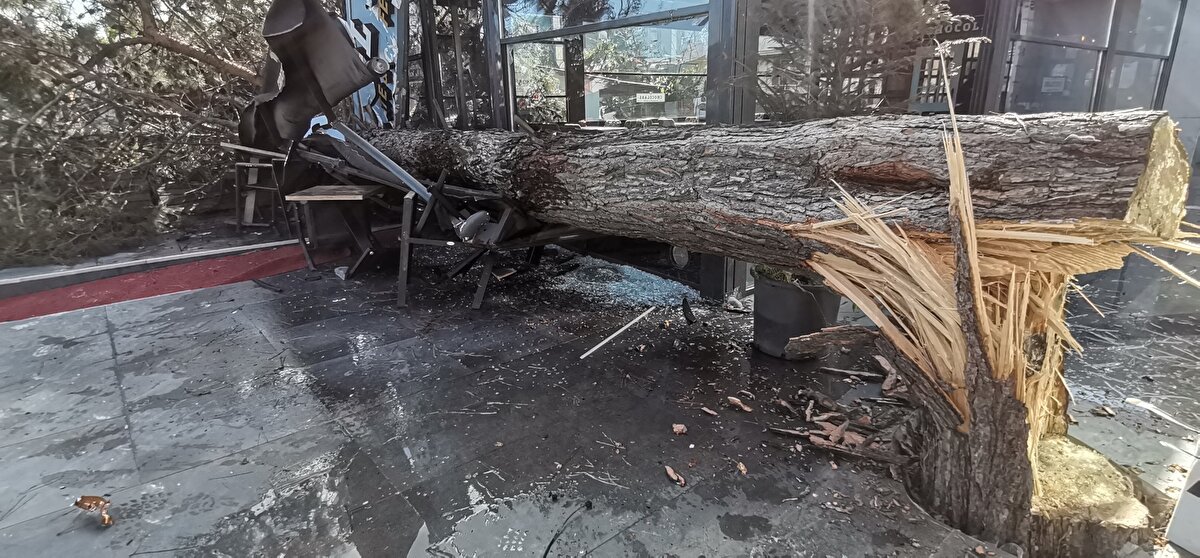 Ordu'da sabah saatlerinden itibaren etkili olan fırtına hayatı olumsuz etkiledi. Saatteki hızı 65 kilometreye ulaşan fırtına nedeniyle Akyazı Mahallesi Plaj mevkisinde gövdesinden kırılan ağaç, kafeteryanın bahçesi ile park halindeki otomobilin üzerine düştü.