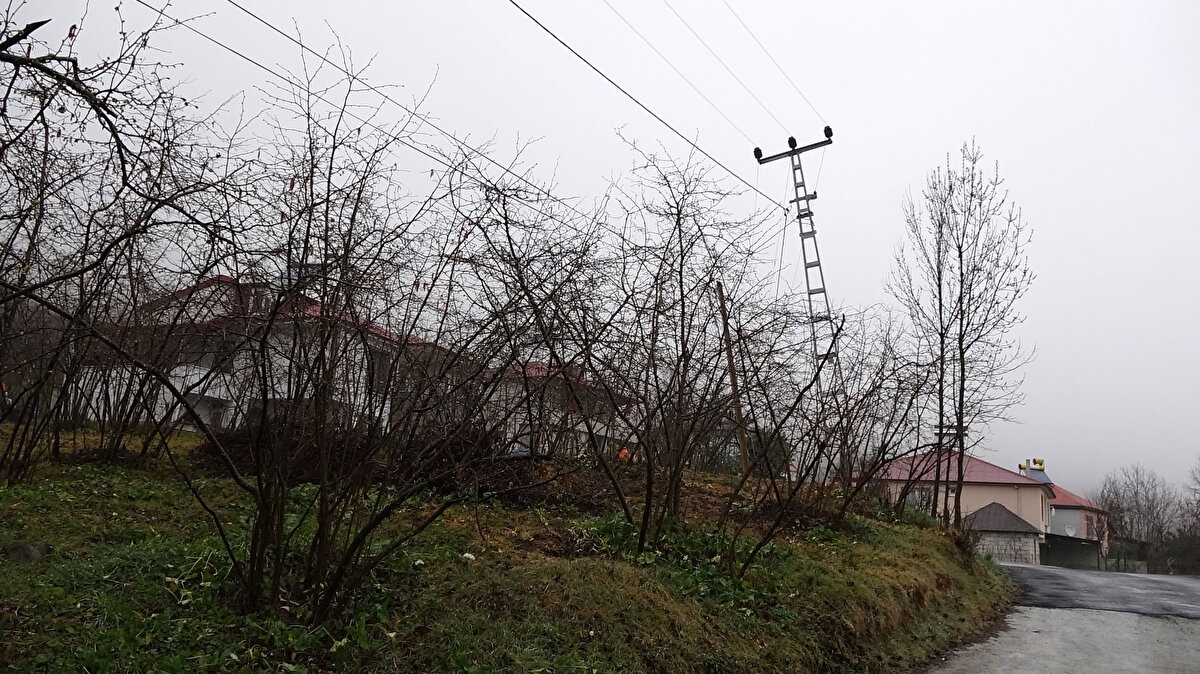 Uzman ekiplerin yaptığı teknik incelemede, yer altı sularından kaynaklı heyelan olduğu belirlenen mahallede riskli olduğu gerekçesi ile bazı evler için tahliye kararı verildi. 