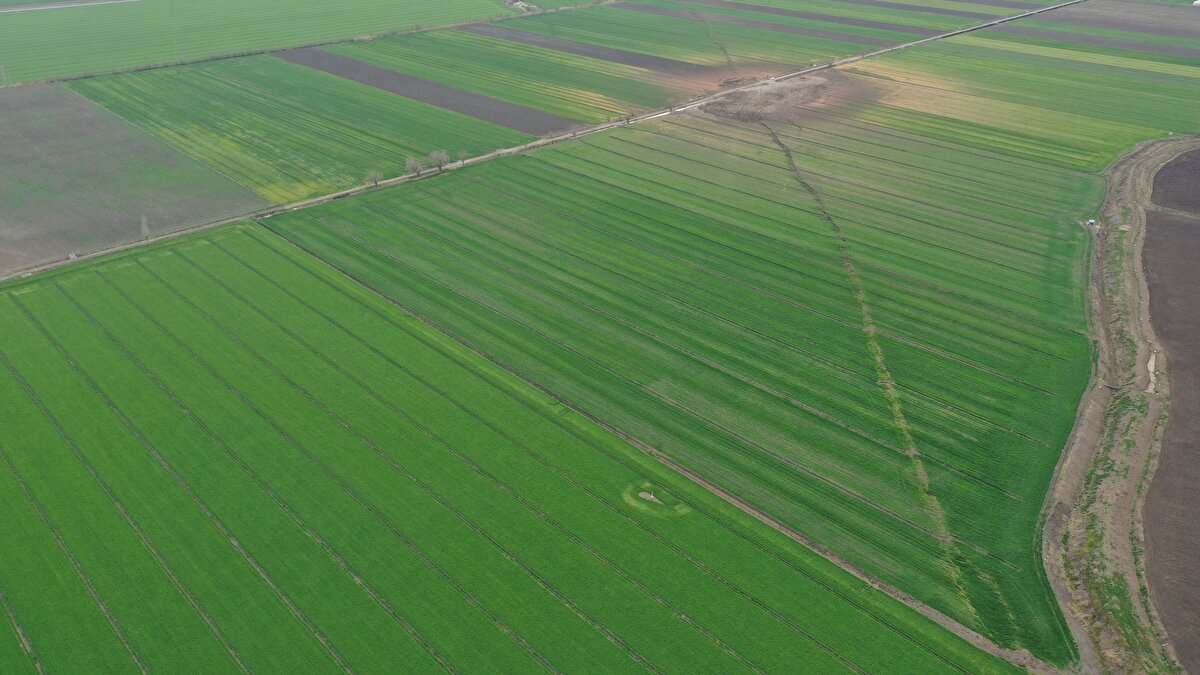 Prof. Dr. Sözbilir, AA muhabirine, Elazığ Fırat Üniversitesi, Sivas Cumhuriyet Üniversitesi, Eskişehir Osmangazi Üniversitesi ve Afyon Kocatepe Üniversitesi, AFAD ve TÜBİTAK ekipleriyle 6 ve 20 Şubat'ta yaşanan depremlerin ardından bölgede çalışma yaptıklarını hatırlattı.