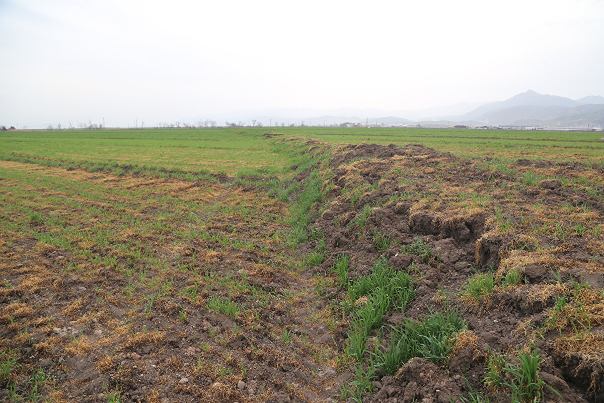 Yaşanan üç büyük depremde 7 fay parçasının kırıldığını tespit ettiklerini aktaran Sözbilir, "7,7 büyüklüğündeki ilk depremde Narlı Fayı adı verilen bir fay ile birlikte kırılmalar gerçekleşiyor ve Amanos-Pazarcık ile Erkenek gibi segmentler kırılıyor. Dokuz saat sonra ise daha kuzeyde Çardak ve Doğanşehir fayları kırılıyor ve 7,6 büyüklüğündeki depremi üretiyor. En son 20 Şubat'ta ise 6,4 büyüklüğündeki deprem ile Antakya Fayı çalışmış oldu. Kahramanmaraş merkezli depremlerde 15 günde 7 fayın kırılmasının dünyada pek gözlenen bir durum değil. Belki bir ilk olarak değerlendirilebilir. Bu şekilde baktığımızda son 500 yıldaki en büyük deprem olduğunu söyleyebiliyoruz." diye konuştu.<br>