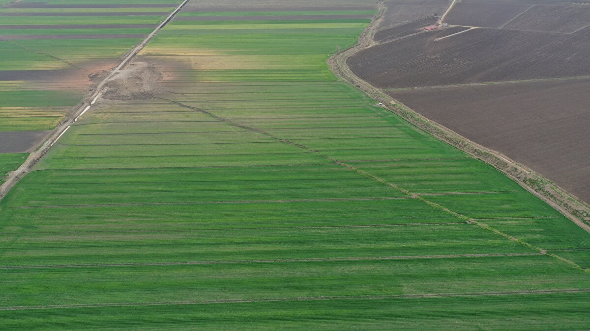 Depremin hemen ardından sahadan veri topladıklarını ifade eden Sözbilir, ilk günden itibaren de yaptıkları gözlemlerde fay hatlarını incelediklerini dile getirdi.<br>