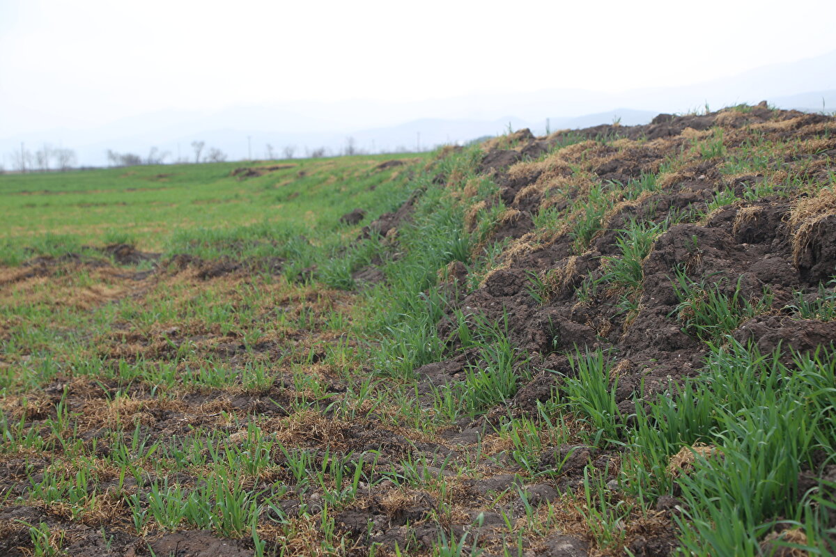 Türkiye'deki 485 fayın önemli bir bölümünün Kuzey Anadolu Fayı ve Doğu Anadolu Fayı ile Batı Anadolu'da yer aldığına işaret eden Sözbilir, geri kalan kısmının ise dağılmış durumda olduğunu belirtti.<br>