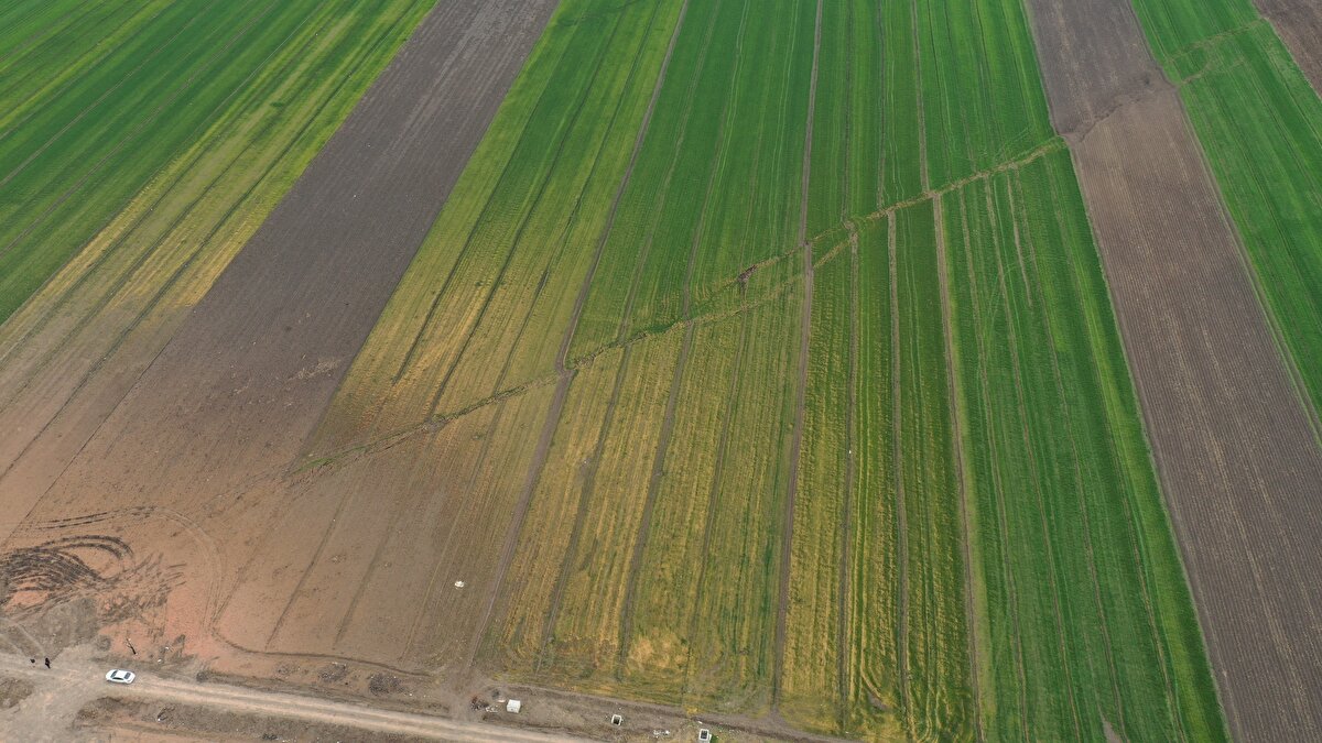 "Bizim jeolojideki tabirimizle sahada at kuyruğuna benzer bir saçaklanma gözlenir. Bu gerilim bu faylara dağıtılıyor. Biz gelecekte bu fayların ne zaman kırılacağıyla ilgili bilgi toplamak için geçmişini araştırıyoruz. Fayın üzerinde geçmiş dönemde ürettiği depremle ilgili bilgi almak için hendek açıyoruz. Hendeğin içinde geçmiş depremleri görebiliyoruz. Böylelikle geçmişte kaç deprem olmuş, hangi aralıklarda olmuş, en son deprem ne zaman olmuş bunlara bakabiliyoruz."<br>