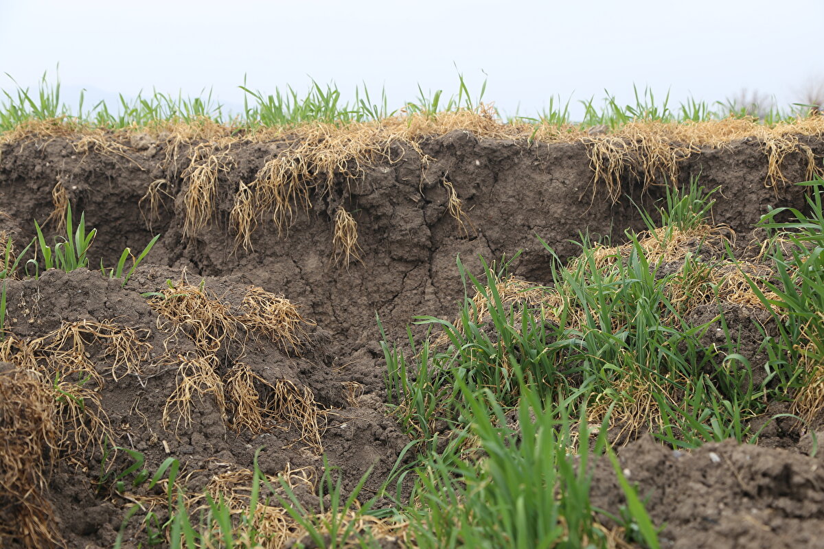 "Fayların ne zaman kırılacağıyla ilgili bilgi toplamak için geçmişini araştırıyoruz"<br><br>Şu ana kadar söz konusu 485 faydan sadece 200'ünün kesilip inceleme ve araştırma yapılabildiğine işaret eden Prof. Dr. Sözbilir, şöyle konuştu: