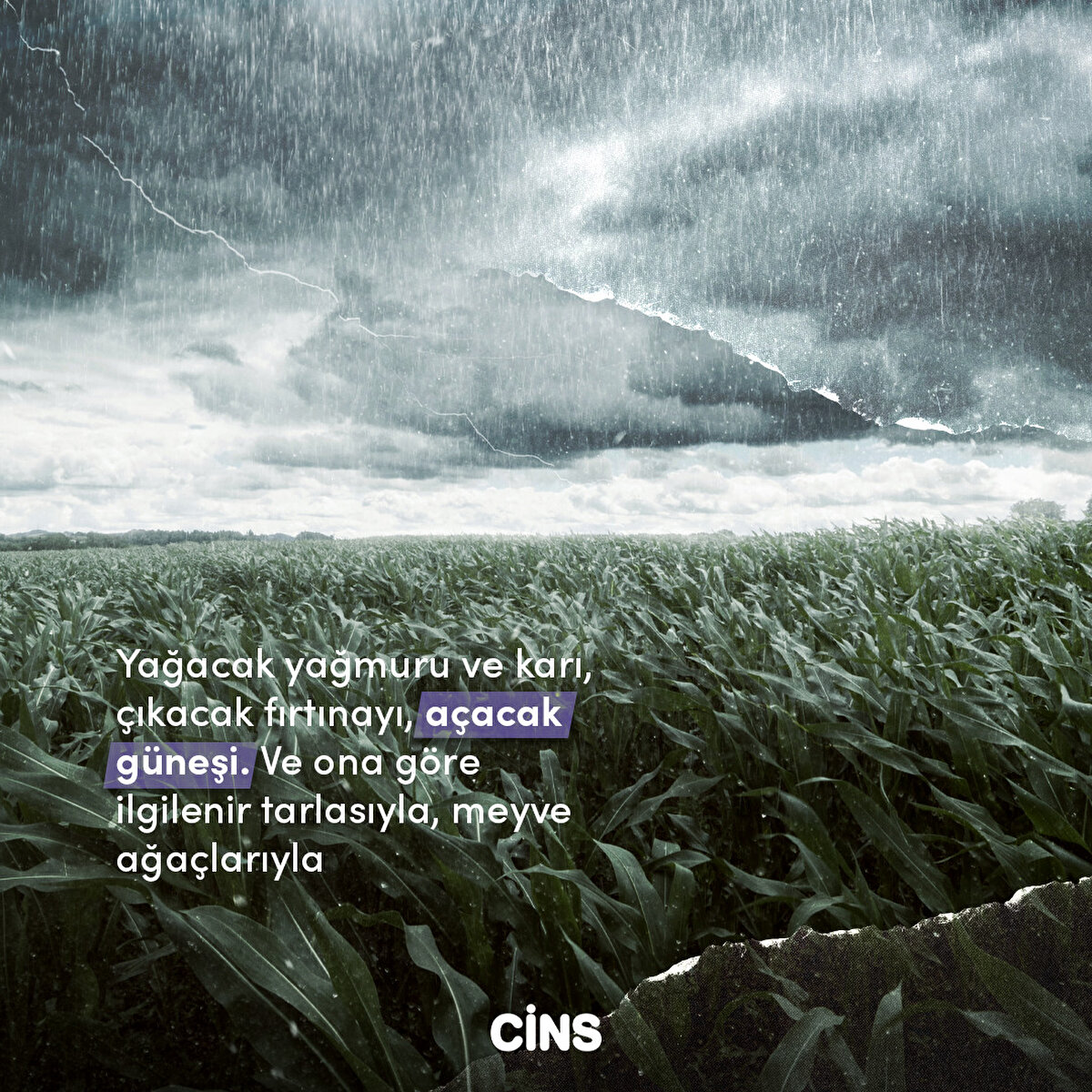 Yağacak yağmuru ve karı, çıkacak fırtınayı, açacak güneşi. Ve ona göre ilgilenir tarlasıyla, meyve ağaçlarıyla