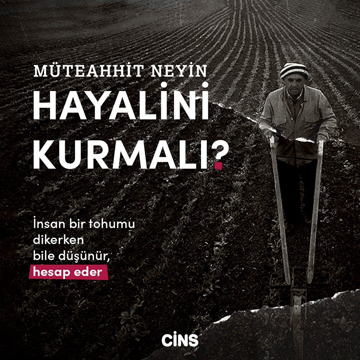 İnsan bir tohumu dikerken bile düşünür, hesap eder