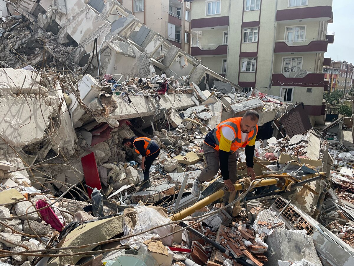 Köpeklerin tedavi sürecinin sorunsuz sürdüğünü dile getiren Ağdaş, Hatay'da sahipsiz hayvanları beslemeye devam ettiklerini sözlerine ekledi.